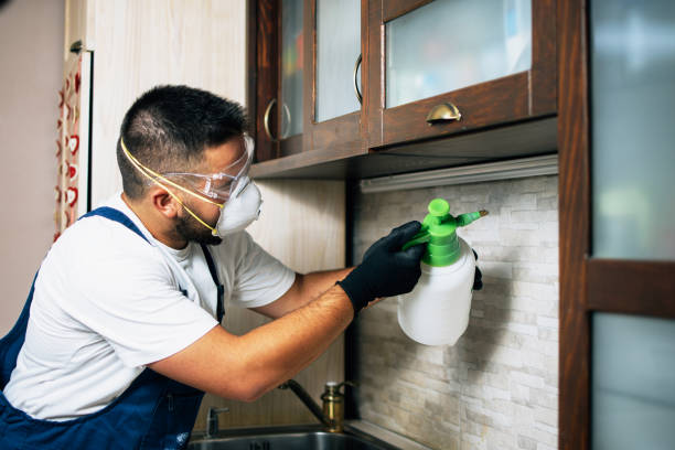 Best Best Pest Control Companies  in Morro Bay, CA