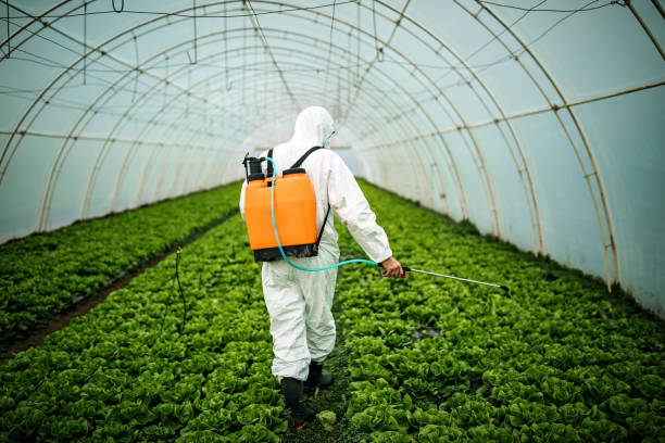 Reliable Morro Bay, CA Pest Control Solutions