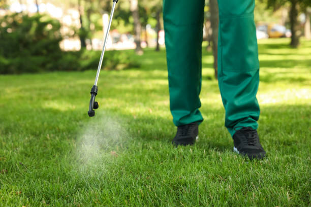Best Exterminator Services  in Morro Bay, CA