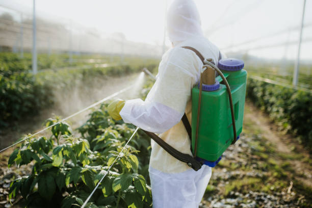 Best Affordable Pest Control Services  in Morro Bay, CA